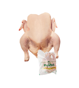 POULET DE CHAIR 1,6 - 1,7KG